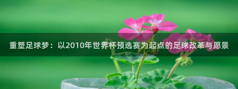 足球世界杯:重塑足球梦:以2010年世界杯预选赛为起点的足球改革与愿景