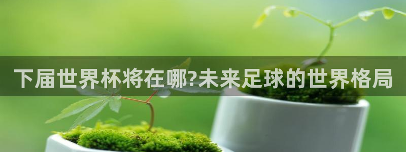 世界杯决赛圈球队:下届世界杯将在哪?未来足球的世界格局