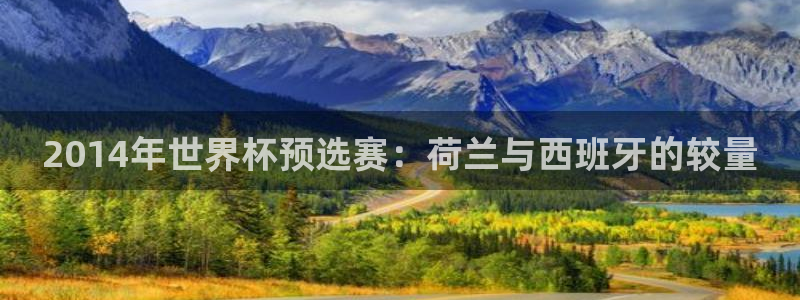 2026世界杯官网:2014年世界杯预选赛:荷兰与西班牙的较量