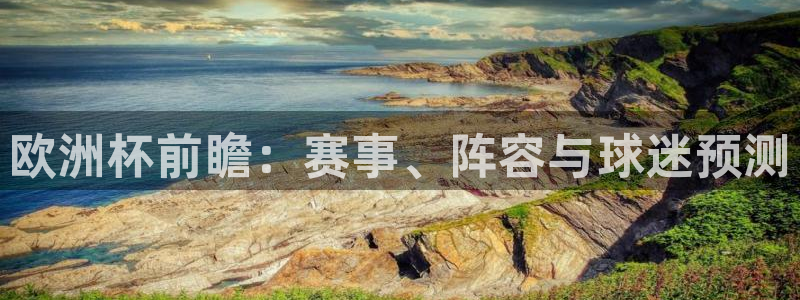 世界杯48支球队赛制:欧洲杯前瞻:赛事、阵容与球迷预测