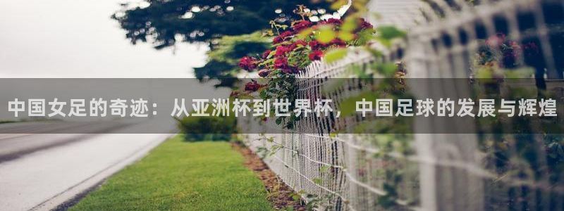 世界杯欧洲预选赛赛程:中国女足的奇迹:从亚洲杯到世界杯,中国足球的发展与辉煌