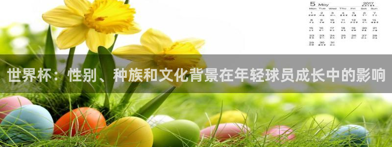 世界杯决赛预测:世界杯:性别、种族和文化背景在年轻球员成长中的影响
