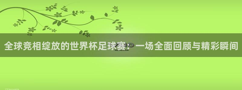 世界杯视频:全球竞相绽放的世界杯足球赛:一场全面回顾与精彩瞬间