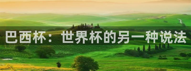 免费看足球直播比赛:巴西杯:世界杯的另一种说法